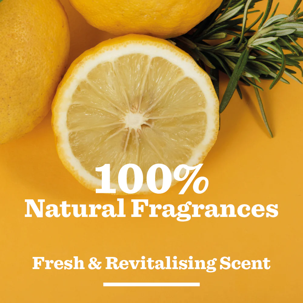 Lemon & Bergamot Body Care Duo - Image 7